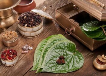 Benefits of Betel leaves: ಊಟದ ನಂತರ ವೀಳ್ಯದೆಲೆಯನ್ನ ತಿಂದ್ರೆ ಏನೆಲ್ಲಾ ಪ್ರಯೋಜನಗಳಿವೆ ಗೊತ್ತಾ.!