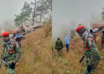 ಮಿಲಿಟರಿ ವಿಮಾನ ಪತನ ; ಮಲಾವಿಯ ಉಪಾಧ್ಯಕ್ಷ ಸೇರಿ 9 ಜನ ದುರ್ಮರಣ