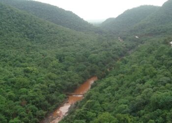 ಗಣಿಗಾರಿಕೆಗಾಗಿ ಬಳ್ಳಾರಿ ಭಾಗದ ಸಂಡೂರು ಅರಣ್ಯದಲ್ಲಿ 99,000 ಮರಗಳ ಹನನ