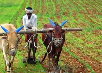 ಪಿಎಂ ಕಿಸಾನ್ 17ನೇ ಕಂತಿನ ಹಣ ಬಿಡುಗಡೆ; ರೈತರ ಖಾತೆಗೆ ಯಾವಾಗ?