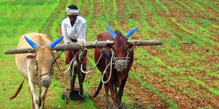 ಪಿಎಂ ಕಿಸಾನ್ 17ನೇ ಕಂತಿನ ಹಣ ಬಿಡುಗಡೆ; ರೈತರ ಖಾತೆಗೆ ಯಾವಾಗ?