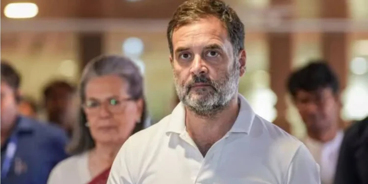 ರಾಯ್ ಬರೇಲಿ, ವಯನಾಡಿನಲ್ಲಿ ಗೆದ್ದಿರುವ ರಾಹುಲ್? ಯಾವ ಕ್ಷೇತ್ರ ಉಳಿಸಿಕೊಳ್ಳಲಿದ್ದಾರೆ?