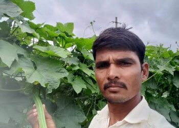 ಬೀದರ್: ಯುವ ರೈತನ ಬಾಳು ಬೆಳಗಿದ ಹಿರೇಕಾಯಿ