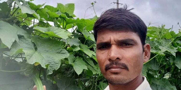 ಬೀದರ್: ಯುವ ರೈತನ ಬಾಳು ಬೆಳಗಿದ ಹಿರೇಕಾಯಿ