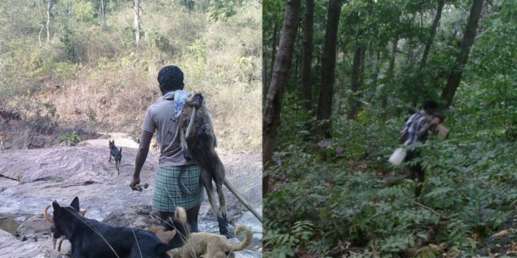 ರಾಜ್ಯದ ಅರಣ್ಯಗಳಲ್ಲಿ ಕಳ್ಳಬೇಟೆ ತಡೆ ಕ್ರಮಕ್ಕೆ ಅರಣ್ಯ ಸಚಿವರ ಆದೇಶ..