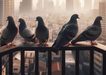 ಪಾರಿವಾಳಗಳಿಂದ ನಿಮ್ಮ ಮನೆಯ ಕಿಟಕಿ ಅಥವಾ ಬಾಲ್ಕನಿ ಗಲೀಜ್ ಆಗಿದ್ಯಾ? ಹಾಗಿದ್ರೆ ಈ ಗಿಡಗಳನ್ನು ಬೆಳೆಸಿ ಪಾರಿವಾಳಗಳಿಗೆ ಗುಡ್ ಬೈ ಹೇಳಿ.!