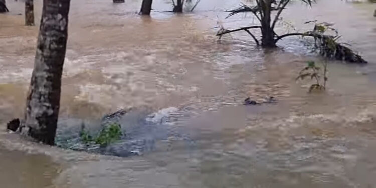 ಉಡುಪಿಯಲ್ಲಿ ಇಂದು ರೆಡ್ ಅಲರ್ಟ್ ! ಬೆಳೆ ಹಾನಿಯಿಂದ ಕಂಗಾಲಾದ ರೈತ !