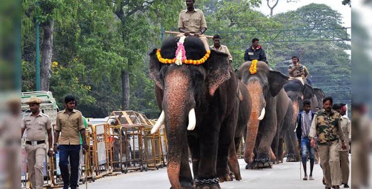 ವಿಶ್ವವಿಖ್ಯಾತ ದಸರಾಗೆ ಮೈಸೂರಿಗೆ ಎಂಟ್ರಿ ಕೊಡಲಿದೆ ಗಜಪಡೆ ! ಈ ಬಾರಿಯೂ ಅಂಬಾರಿ ಹೊರಲಿರುವ ಅಭಿಮನ್ಯು !