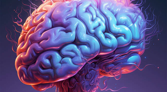 ಮೆದುಳಿನ ಆರೋಗ್ಯವನ್ನು ಕಾಪಾಡಲು, ಪ್ರತಿದಿನ ತಪ್ಪದೆ ಈ ಆಹಾರವನ್ನ ಸೇವಿಸಿ.!