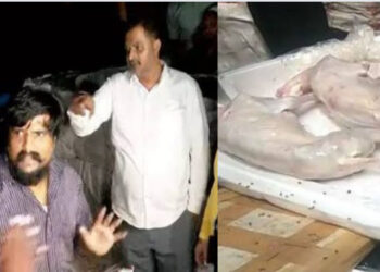 ಬೆಂಗಳೂರಿನ ಹೋಟೆಲ್‌ಗಳಿಗೆ ಸಪ್ಲೈ ಆಗ್ತಿದ್ಯಾ ನಾಯಿ ಮಾಂಸ ?! ಮಾಂಸ ಪ್ರಿಯರೇ ಹುಷಾರ್ !