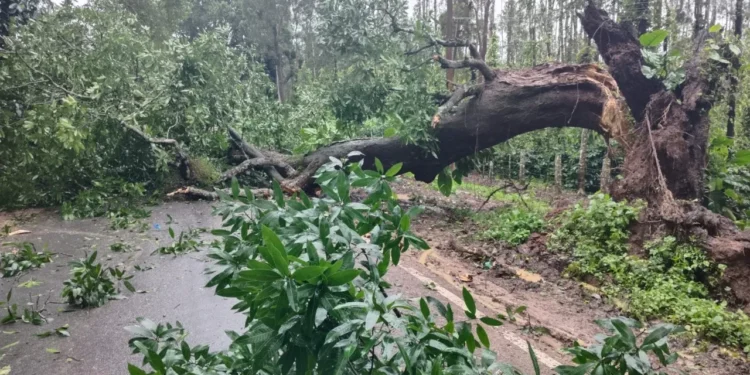 ಚಿಕ್ಕಮಗಳೂರು ಮಂಗಳೂರು ರಾಷ್ಟ್ರೀಯ ಹೆದ್ದಾರಿಯಲ್ಲಿ  ಸಂಚಾರ ಸ್ಥಗಿತ..