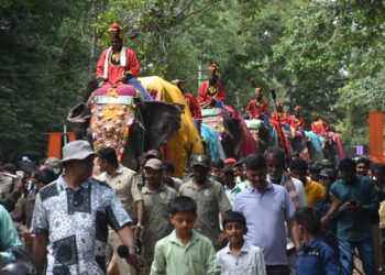 ನಾಡಹಬ್ಬ ದಸರಾ ಗಜಪಯಣ ಸಂಭ್ರಮ..