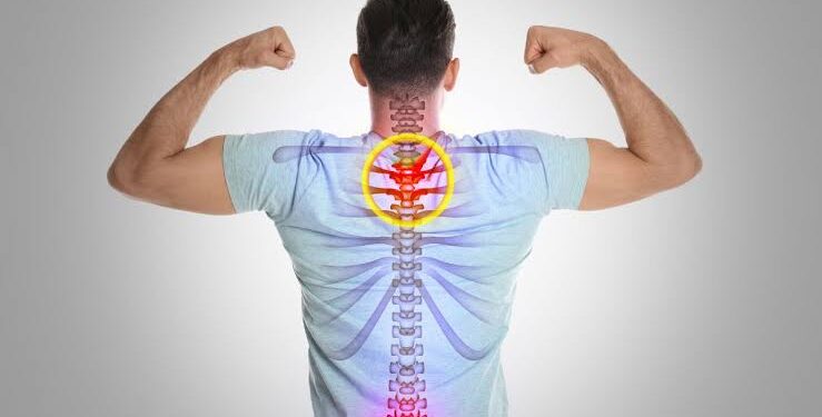 ಮೂಳೆಗಳ ಆರೋಗ್ಯಕ್ಕಾಗಿ ಈ ಪದಾರ್ಥಗಳನ್ನ ಸೇವಿಸಿ.!