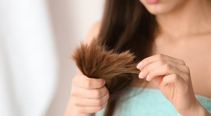 Hair care: ಸ್ಪ್ಲಿಟ್ ಎಂಡ್ ಸಮಸ್ಯೆಗೆ ಈ ಸರಳ ಟಿಪ್ಸ್ ನ ಫಾಲೋ ಮಾಡಿ.!