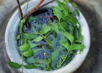 Neem Water: ನೀರಿಗೆ ಬೇವಿನ ಎಲೆಗಳನ್ನ ಬೆರೆಸಿ ಸ್ನಾನ ಮಾಡುವುದರಿಂದ ಆರೋಗ್ಯಕ್ಕೆ ಇಷ್ಟೆಲ್ಲಾ ಪ್ರಯೋಜನಗಳಿವೆ.!