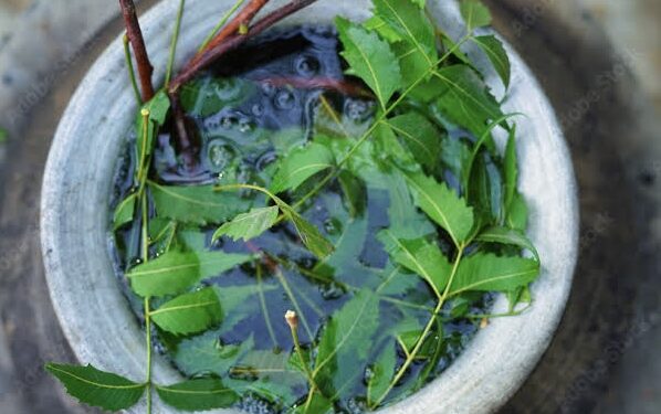 Neem Water: ನೀರಿಗೆ ಬೇವಿನ ಎಲೆಗಳನ್ನ ಬೆರೆಸಿ ಸ್ನಾನ ಮಾಡುವುದರಿಂದ ಆರೋಗ್ಯಕ್ಕೆ ಇಷ್ಟೆಲ್ಲಾ ಪ್ರಯೋಜನಗಳಿವೆ.!