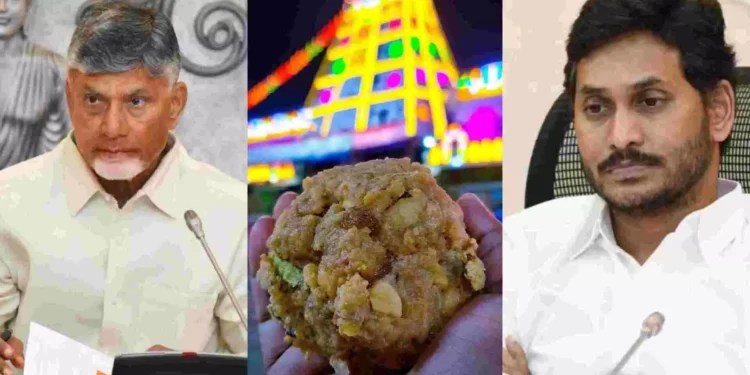 ತಿರುಪತಿ ಲಡ್ಡುಗೆ ದನ, ಹಂದಿ ಕೊಬ್ಬು.. ಮೌನ ಮುರಿದ ಮಾಜಿ ಸಿಎಂ