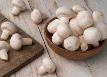 Mushroom benefits: ಸಾಕಷ್ಟು ಆರೋಗ್ಯ ಸಮಸ್ಯೆಗಳನ್ನು ದೂರವಿಡಲು ಅಣಬೆ ಬೆಸ್ಟ್.!