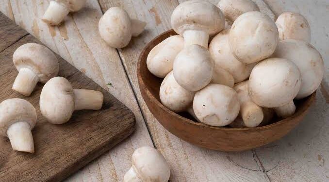 Mushroom benefits: ಸಾಕಷ್ಟು ಆರೋಗ್ಯ ಸಮಸ್ಯೆಗಳನ್ನು ದೂರವಿಡಲು ಅಣಬೆ ಬೆಸ್ಟ್.!