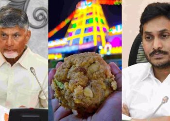 ತಿರುಪತಿ ಲಡ್ಡುವಿನಲ್ಲಿ ತುಪ್ಪದ ಬದಲು ಪ್ರಾಣಿ ಕೊಬ್ಬಿನ ಬಳಕೆ ?! ಸ್ಪೋಟಕ ಆರೋಪ ಮಾಡಿದ ಚಂದ್ರಬಾಬು ನಾಯ್ಡು !