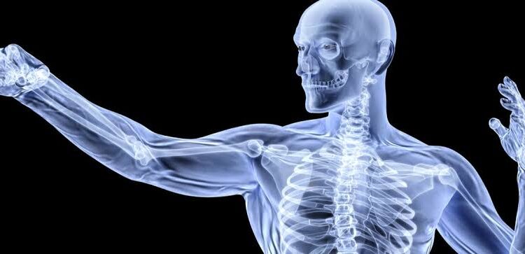 Bone health: ಮೂಳೆಗಳ ಆರೋಗ್ಯದಲ್ಲಿ ಏರುಪೇರಾಗಲು ಪ್ರಮುಖ ಕಾರಣಗಳು ಇವೆ.!