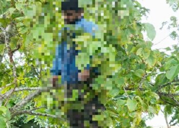 ಮಹಾಲಕ್ಷ್ಮಿಯನ್ನು ತುಂಡು ತುಂಡಾಗಿ ಕತ್ತರಿಸಿದ್ದ ಕೊಲೆಗಾರ ಶವವಾಗಿ ಪತ್ತೆ – ಆತ್ಮಹತ್ಯೆಗೆ ಶರಣಾದ ಮುಕ್ತಿ ರಂಜನ್ ರಾಯ್ !