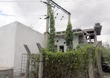 ವಿದ್ಯುತ್ ಕಂಬಗಳ ಬಳಿಯ ಗಿಡ-ಗಂಟಿ ತೆರವು; ಬಿಬಿಎಂಪಿ ಜತೆ ಕೈ ಜೋಡಿಸಲಿದೆ ಬೆಸ್ಕಾಂ