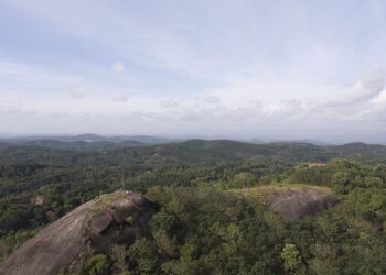 ಕೊಡಗಿನಲ್ಲಿ ಸಿ ಮತ್ತು ಡಿ ಭೂಮಿ ಹಸ್ತಾಂತರ   ಸೃಷ್ಟಿಸಿರುವ  ಗೊಂದಲದಿಂದ ನೂರಾರು ರೈತರಿಗೆ ಸಂಕಷ್ಟ