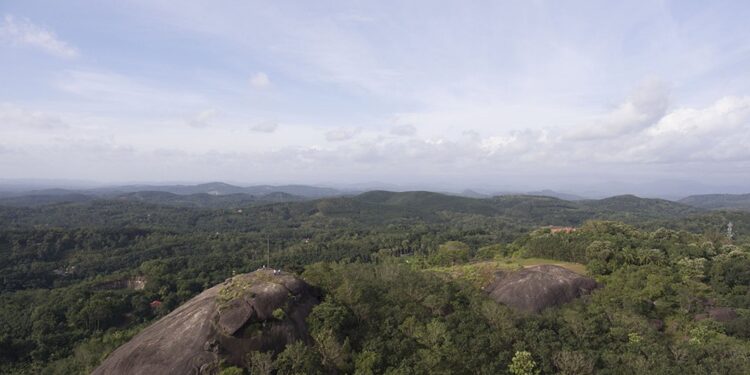 ಕೊಡಗಿನಲ್ಲಿ ಸಿ ಮತ್ತು ಡಿ ಭೂಮಿ ಹಸ್ತಾಂತರ ಸೃಷ್ಟಿಸಿರುವ ಗೊಂದಲದಿಂದ ನೂರಾರು ರೈತರಿಗೆ ಸಂಕಷ್ಟ