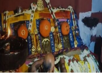 ಹಾಸನಾಂಬೆ ದರ್ಶನಕ್ಕೆ ಇಂದೇ ಕೊನೆದಿನ – ಭಕ್ತರ ಸಂಖ್ಯೆಯಲ್ಲಿ ಇನ್ನಷ್ಟು ಹೆಚ್ಚಳ !