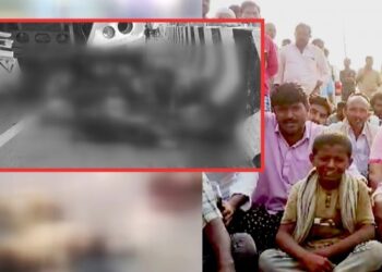 ಪಲ್ನಾಡು ದಾಚೇಪಲ್ಲಿ ಬಳಿ ಬಸ್ ಡಿಕ್ಕಿಯಾಗಿ 150 ಕುರಿಗಳು ಸಾವು; ಕುರುಬನಿಗೆ ಗಂಭೀರ ಗಾಯ,