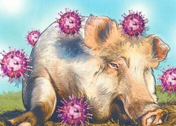 ಕೇರಳದ ಕೊಟ್ಟಾಯಂ  ನಲ್ಲಿ  ಎರಡು ಹಂದಿಗಳಲ್ಲಿ  ಆಫ್ರಿಕನ್‌ ಹಂದಿ ಜ್ವರ ಪತ್ತೆ