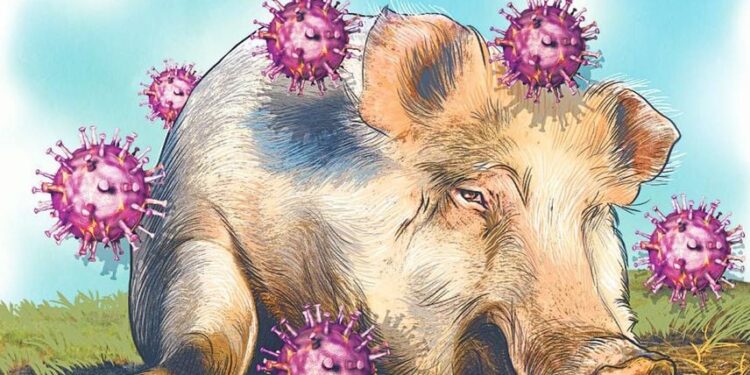 ಕೇರಳದ ಕೊಟ್ಟಾಯಂ  ನಲ್ಲಿ  ಎರಡು ಹಂದಿಗಳಲ್ಲಿ  ಆಫ್ರಿಕನ್‌ ಹಂದಿ ಜ್ವರ ಪತ್ತೆ