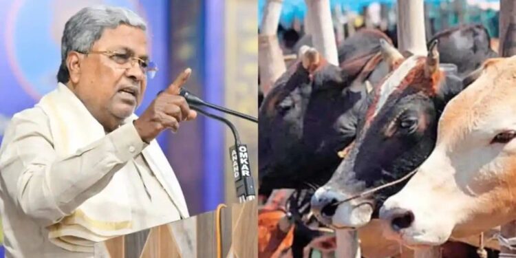 ಹಸುಗಳ ಕೆಚ್ಚಲು ಕತ್ತರಿಸಿದ್ರೂ ಸೈಲೆಂಟ್.. ಡಿಕೆಶಿ ಸಿಎಂ ಆಗಲು ಸಾಧ್ಯವೇ ಇಲ್ಲ..
