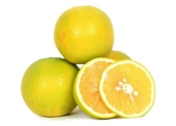 ಮೋಸಂಬಿ ಹಣ್ಣಿನಲ್ಲಿ ಇರುವಂತಹ ಆರೋಗ್ಯ ಪ್ರಯೋಜನಗಳೇನು?