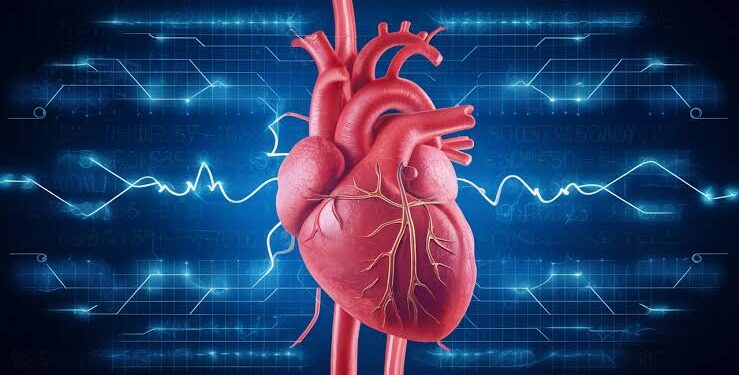 ಹೃದಯದ ಆರೋಗ್ಯಕ್ಕಾಗಿ ಈ ಪದಾರ್ಥಗಳನ್ನು ತಪ್ಪದೆ ಸೇವಿಸಿ.!