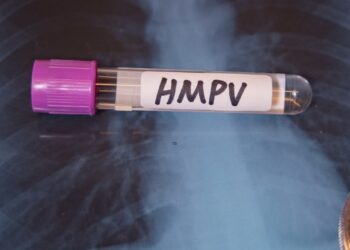 BREAKING : ಬೆಂಗಳೂರಿನಲ್ಲಿ ಮೊದಲ HMPV ವೈರಸ್ ಪ್ರಕರಣ ಪತ್ತೆ ! 8 ತಿಂಗಳ ಮಗುವಿನಲ್ಲಿ ಪತ್ತೆಯಾದ ಸೋಂಕು 