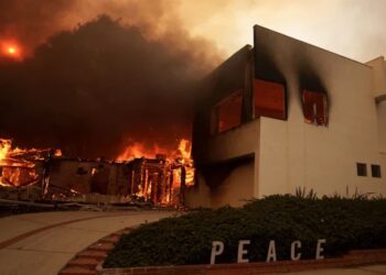 ಲಾಸ್‌ ಎಂಜಲೀಸ್‌ ನಲ್ಲಿ ಭೀಕರ ಕಾಡ್ಗಿಚ್ಚಿಗೆ ಐವರು ಬಲಿ; ಸಾವಿರಾರು ಜನರಿಗೆ ಸಂಕಷ್ಟ