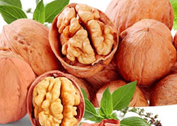 ಅಖ್ರೋಟ್: ಆರೋಗ್ಯಕರ ದೇಹ ಮತ್ತು ಮೆದುಳಿಗೆ ದಾರಿ