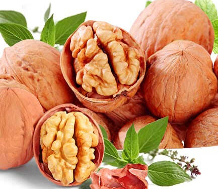 ಅಖ್ರೋಟ್: ಆರೋಗ್ಯಕರ ದೇಹ ಮತ್ತು ಮೆದುಳಿಗೆ ದಾರಿ