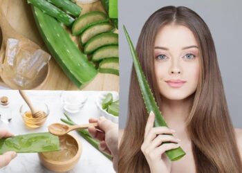 ವಾರಕ್ಕೊಮ್ಮೆ ಕೂದಲಿಗೆ ಅಲೋವೆರಾ ಹಚ್ಚುವುದರಿಂದ ಏನೆಲ್ಲಾ ಪ್ರಯೋಜನಗಳಿವೆ ಗೊತ್ತಾ?