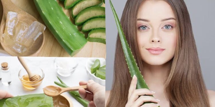 ವಾರಕ್ಕೊಮ್ಮೆ ಕೂದಲಿಗೆ ಅಲೋವೆರಾ ಹಚ್ಚುವುದರಿಂದ ಏನೆಲ್ಲಾ ಪ್ರಯೋಜನಗಳಿವೆ ಗೊತ್ತಾ?