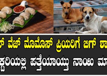 ನಾನ್ ವೆಜ್ ಮೊಮೊಸ್ ಪ್ರಿಯರಿಗೆ ಬಿಗ್ ಶಾಕ್ ..! ಫ್ಯಾಕ್ಟರಿಯಲ್ಲಿ ಪತ್ತೆಯಾಯ್ತು ನಾಯಿ ಮಾಂಸ
