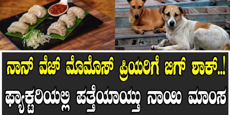 ನಾನ್ ವೆಜ್ ಮೊಮೊಸ್ ಪ್ರಿಯರಿಗೆ ಬಿಗ್ ಶಾಕ್ ..! ಫ್ಯಾಕ್ಟರಿಯಲ್ಲಿ ಪತ್ತೆಯಾಯ್ತು ನಾಯಿ ಮಾಂಸ