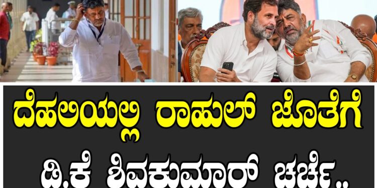 ದೆಹಲಿಯಲ್ಲಿ ರಾಹುಲ್ ಜೊತೆಗೆ ಡಿ.ಕೆ ಶಿವಕುಮಾರ್ ಚರ್ಚೆ..
