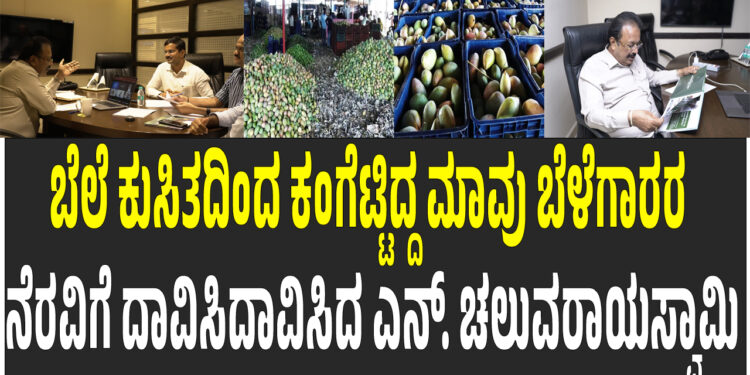 ಮಾವು ಮಾರುಕಟ್ಟೆ ಮಧ್ಯಪ್ರವೇಶ : ಬೆಲೆ ವ್ಯತ್ಯಾಸ ಪಾವತಿಗೆ ಸರ್ಕಾರದ ಒಪ್ಪಿಗೆಎನ್. ಚಲುವರಾಯಸ್ವಾಮಿ