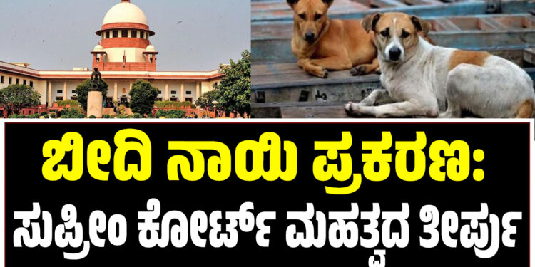 ಬೀದಿ ನಾಯಿ ಪ್ರಕರಣ: ಸುಪ್ರೀಂ ಕೋರ್ಟ್ ಮಹತ್ವದ ತೀರ್ಪು