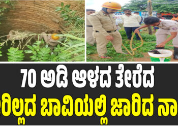 70 ಅಡಿ ಆಳದ ತೇರೆದ ನೀರಿಲ್ಲದ ಬಾವಿಯಲ್ಲಿ ಜಾರಿ ನಾಯಿ