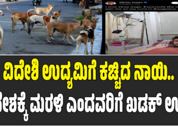 ವಿದೇಶಿ ಉದ್ಯಮಿಗೆ ಕಚ್ಚಿದ ನಾಯಿ.. ಸ್ವದೇಶಕ್ಕೆ ಮರಳಿ ಎಂದವರಿಗೆ ಖಡಕ್ ಉತ್ತರ