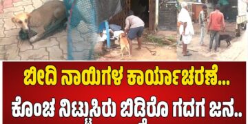 ಬೀದಿ ನಾಯಿಗಳಿಗೆ ಬ್ರೇಕ್ ಹಾಕಲು ಮುಂದಾದ ಗದಗ-ಬೆಟಗೇರಿ ನಗರಸಭೆ